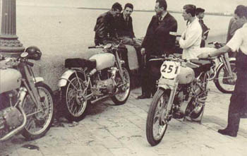 Group of Grey Flash's at TT